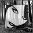 images/avatars/avatar-1656.jpg
