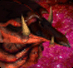 images/avatars/avatar-176.gif