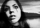images/avatars/avatar-3240.jpg
