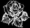 images/avatars/avatar-4072.jpg