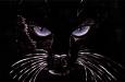 images/avatars/avatar-4521.jpeg
